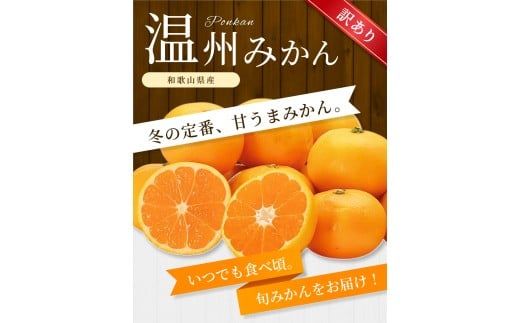 【訳あり】 温州みかん 約10kg 和歌山県産 2S~2Lサイズ混合※2025年11月上旬～2026年2月中旬ごろに順次発送【mrmt010】