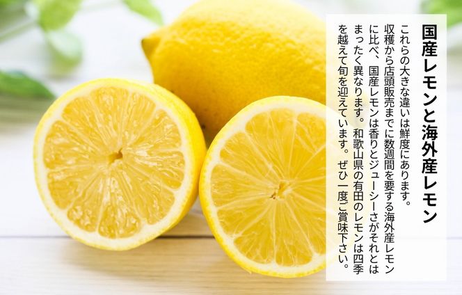レモン 小玉 国産 箱込2.5kg(内容量約2.3kg) 秀品 S M L サイズミックス 和歌山県有田産 【みかんの会】 AX324