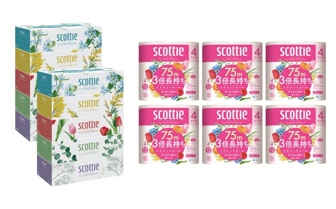【定期便6回】【毎月お届け】【スコッティ】 ティシュー フラワーボックス 250組（5箱パック×2セット）＋フラワーパック 3倍長持ち（4ロール（ダブル）パック ×6セット） ティッシュ ストック