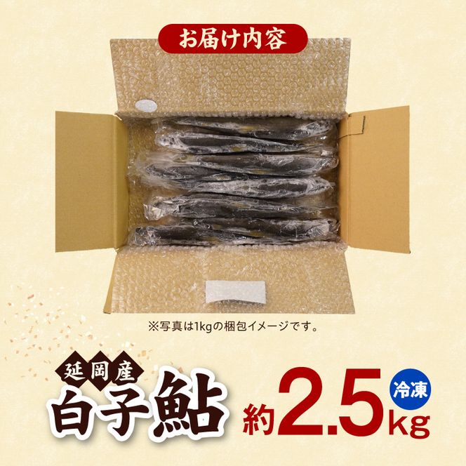【冷凍】白子鮎約2.5kg N070-YB926-2