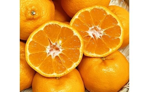 紀州和歌山有田産ポンカン　5㎏ ※2027年1月下旬頃〜2027年2月上旬頃に順次発送（お届け日指定不可）【uot722】