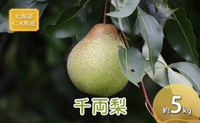 [先行受付] 北海道 仁木町産 千両梨 約5kg 梨 ナシ 果物 くだもの フルーツ 先行予約 [くだもの直売　もり園]