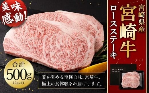 ＜宮崎牛 ロースステーキ 2枚 500g＞2026年2月上旬より順次出荷【c1191_mc_x2】 新生活応援 卒業祝い 就職祝い 入学 卒業 お花見 引越し