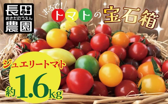 まるでトマトの宝石箱！フルーツジュエリートマト約1.6㎏ 長田農園 産地直送 トマト とまと 野菜 やさい フルーツ サラダ 濃厚 甘い ご褒美 プレゼント 美容 健康 リピート多数 人気 高評価 先行受付 数量限定 碧南市 H004-162