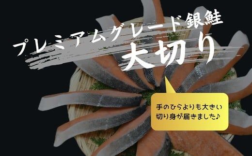 【3-202】銀鮭切り身 骨取り 無塩 3kg 無添加 3キロ 冷凍 鮭 プレミアム バラ凍結 ウロコ取り 骨なし さけ サケ しゃけ シャケ 切り身
