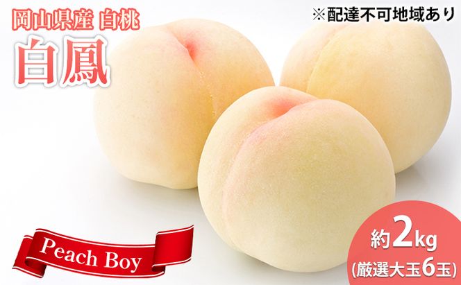 【 2026年 先行予約】 桃 岡山県産 数量限定50箱 極撰 白鳳 （ 白桃 ） 2kg 厳選 大玉 6玉  《2026年7月上旬-7月中旬頃出荷》岡山 スイーツ フルーツ 果物 先行予約 数量限定 期間限定 岡山 里庄町 