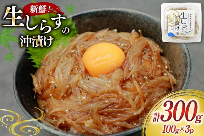 yÉgcz炷Ђ 100g 3pbN v300g [}Y É gc 22424525-b] 炷 VX Ђ 炷 VX  CN x͘pY
