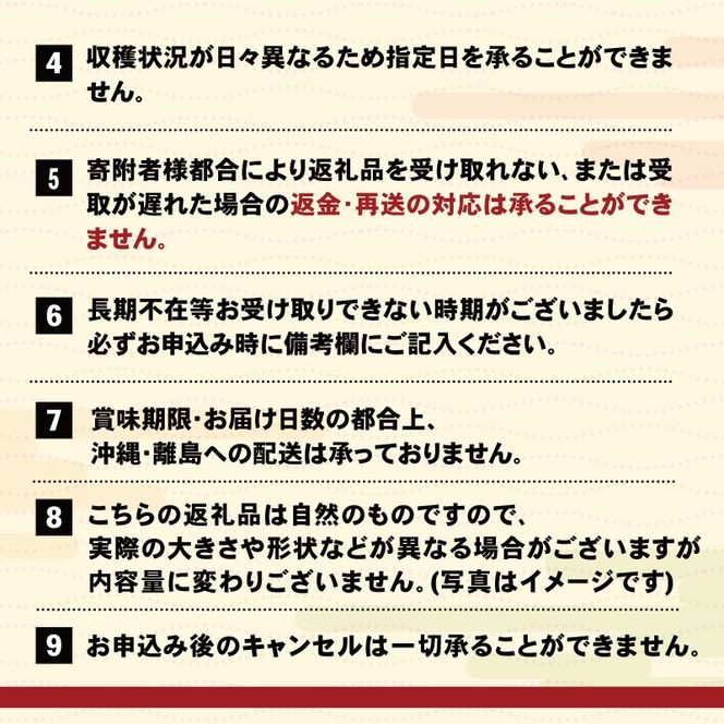 生うに 120g (40g×3本) 牛乳瓶 冷蔵 ミョウバン不使用 添加物無添加 うに ウニ 雲丹 [michinoeki01_1]