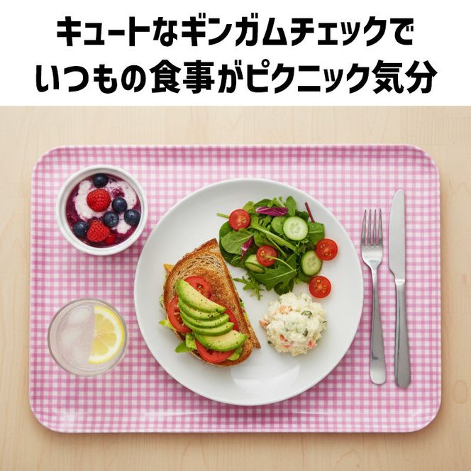 TATSU-CRAFT マグネットトレー SS 21.5cm チェック PK ピンク すべり止め付き ［Tk1052］ 303446_DA90799VC03