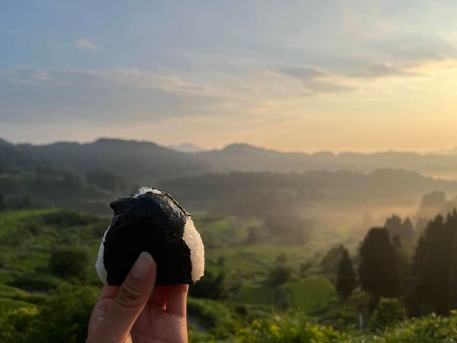 2026年度「まつだい棚田バンク」 小口コース(30平方メートル)