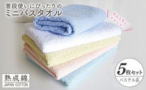G2237 【スピード発送】泉州タオル「普段使いにぴったりのミニバスタオル」５枚セット（パステル系）【泉州タオル 国産 吸水 普段使い 無地 シンプル 日用品 家族 ファミリー】
