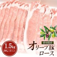 香川県産オリーブ豚ロース1.5kg(500g×3p) 豚肉 肉 お肉 香川 香川県 東かがわ市