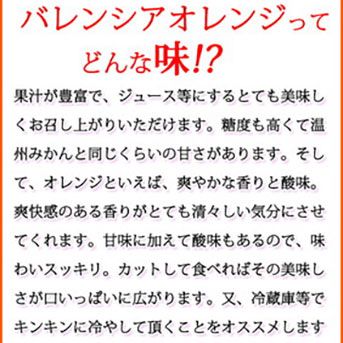 【ご家庭用訳あり】希少な国産バレンシアオレンジ 7kg