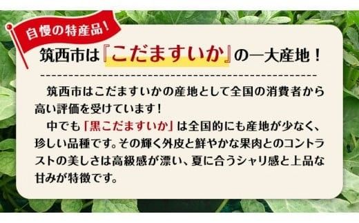 【 JA北つくば 】 黒こだますいか 「 誘惑のひとみ 」 4～5玉 2026年産 スイカ 果物 フルーツ 小玉スイカ 小玉 西瓜 くだもの デザート 茨城 [AE004ci]