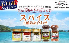 UY-1 石垣島海のもの山のものスパイス&オリジナル詰め合わせセットA