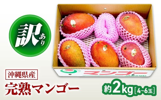 【2026年発送】 訳あり 完熟マンゴー 約2kg (4～6玉入) マンゴー 沖縄 果物 フルーツ ギフト 沖縄市 / ちゃんぷる～市場 [BCAA002]