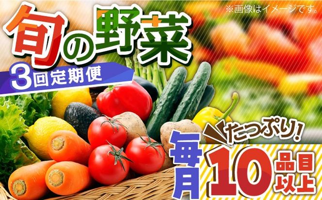 【3回定期便】地元の農家さんが収穫した旬のお野菜 詰め合わせセット 野菜定期便 野菜詰め合わせ / 南島原市 / ミナサポ [SCW045]