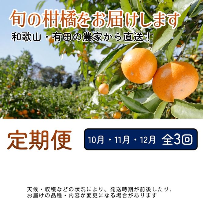 【定期便】家庭用 柑橘定期便 M 3回（10～12月）※北海道・沖縄・離島への配送不可※10月・11月・12月に発送