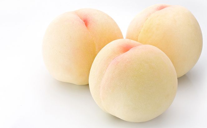 桃 2026年 先行予約 清水白桃 3玉 合計約900g（1玉約300g） 白桃 もも モモ 岡山県産 国産 フルーツ 果物 ギフト 桃茂実苑 果肉 