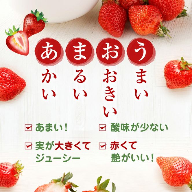 【先行予約】【アフター保証】大粒セレクト！大人気のあまおう 約250g×2パック【1月～2月上旬発送】【ほたるの里】_HA0276