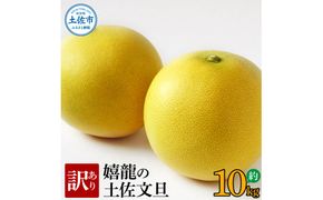 【先行予約】 訳あり 嬉龍の土佐文旦 約10キロ 2L～4Lサイズ 〈2027年1月中旬〜発送〉文旦 ぶんたん ブンタン 柑橘 フルーツ 果物 わけあり わけアリ 傷 シミ 美味しい 高知県産【嬉龍】