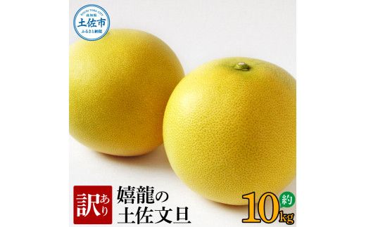 【先行予約】 訳あり 嬉龍の土佐文旦 約10キロ 2L～4Lサイズ 〈2027年1月中旬〜発送〉文旦 ぶんたん ブンタン 柑橘 フルーツ 果物 わけあり わけアリ 傷 シミ 美味しい 高知県産【嬉龍】