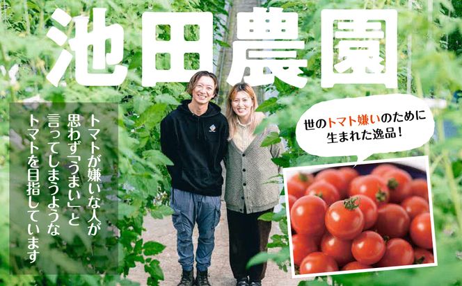 【先行予約】 嫁がうまいと言う日まで 800g トマト ミニトマト とまと 野菜 やさい サラダ 新鮮 リコピン 特産品 熊本県 八代市 【2026年12月上旬より順次発送】