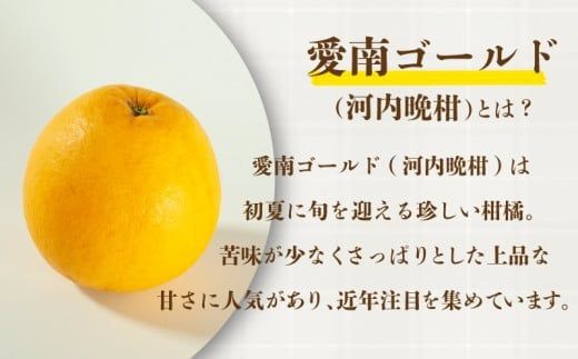 【ふるさと納税】先行予約 訳あり  愛南ゴールド S～Mサイズ 約8kg 河内晩柑 柑橘 フルーツ 果物 蜜柑 みかん くだもの 家庭用 傷 不揃い  サイズミックス かわち ばんかん 和製 グレープフルーツ デザート甘い ジューシー 特産品 国産 農園 直送 愛媛県 愛南町 和家農園