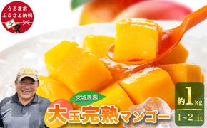 宮城農園の完熟マンゴー　約1kg（1～2玉）【 先行予約 2026年発送 】