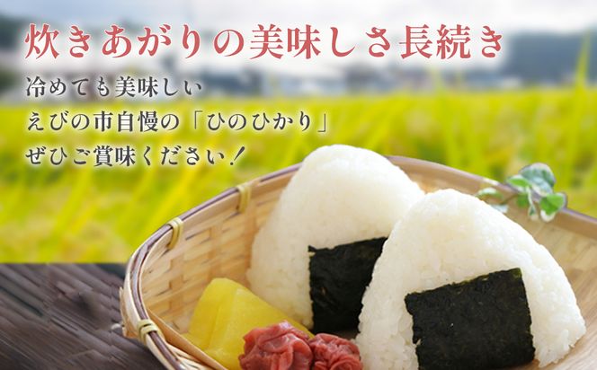 【令和7年産】米 えびの産 ひのひかり 5kg 米 お米 精米 白米 ご飯 おこめ ヒノヒカリ 国産 宮崎県産 特選米 九州産 送料無料 コメ おにぎり つや 艶 ツヤ たまごかけごはん 卵かけご飯 卵かけごはん TKG 冷めても美味しい