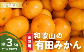 【1月発送】ご家庭用 有田みかん 和歌山 S～Lサイズ 大きさお任せ 3kg / みかん フルーツ 果物 くだもの 有田みかん 蜜柑 柑橘【ktn006A-1】