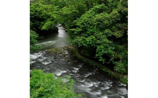 山中温泉 白鷺湯たわらや ペア宿泊券 1泊2食付 2名 ペア 食事付 温泉 宿泊券 旅行 トラベル 宿泊 宿泊施設 宿 レジャー 能登半島地震復興支援 F6P-2056