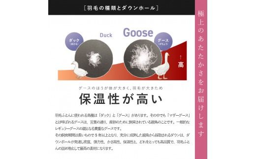 【甲州羽毛2枚合わせふとん】 布団 ハンガリープレミアムマザーグースダウン95%超長綿 ホワイト (シングル) お任せ掛けふとんカバー付 羽毛布団 寝具 掛けふとん 布団 掛布団 富士吉田 山梨