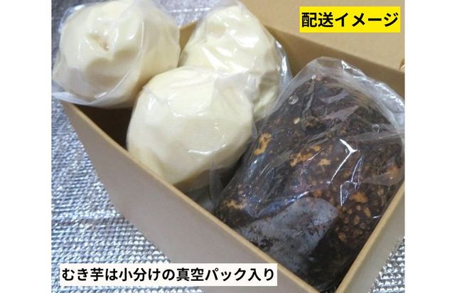 【芋家なか吉】スペシャル丹波山の芋☆二刀流☆セット (11月収穫プレミアム特選品つくね芋)｜京都 人気 やまいも［ 京都 山の芋専門店 職人 とろろ 芋 いも イモ 野菜 3kg 人気 おすすめ お取り寄せ 通販 送料無料 ふるさと納税 ］ 261009_B-SG09