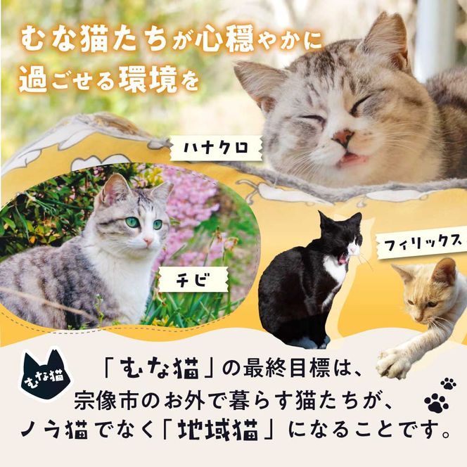 【返礼品なし】「「むな猫（旧：てくてくさくらねこ）」　地域猫活動支援【むな猫】_HA1118