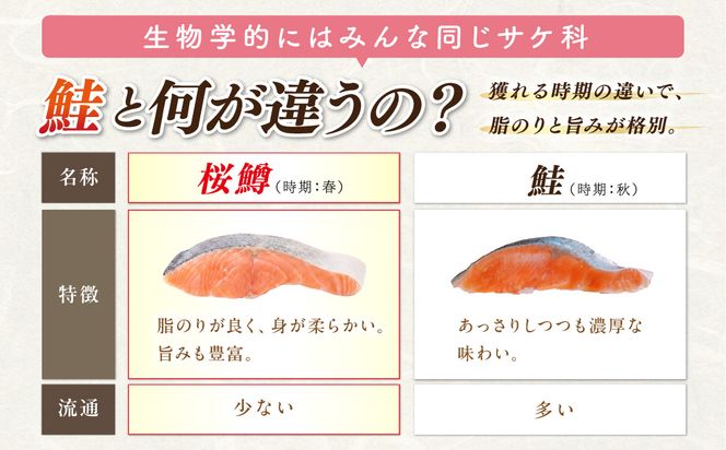 オホーツク サクラマス 切り身 1kg ( マス 鱒 海鮮 魚介類 切身 チェリー サーモン )【094-0083】