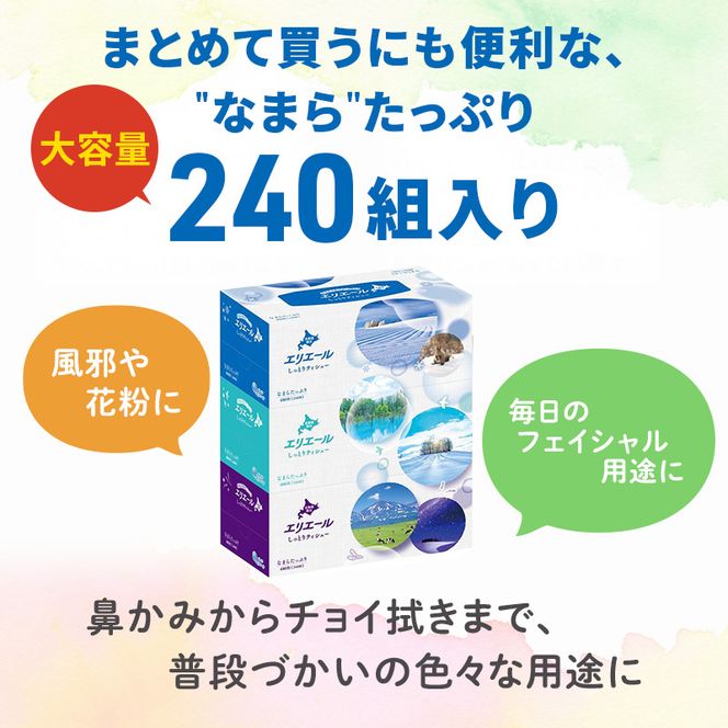 定期便 3ヵ月連続お届け エリエール ハーフサイズ 収納に便利 コンパクト 【少量5パック】 北海道 しっとりティシュー なまらたっぷり 240組3箱 5パック 計15箱 ボックスティシュー ふるさと納税限定デザイン