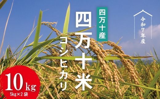 【令和7年産】四万十産 四万十米 コシヒカリ 10kg（5kg×2袋） 国産 こしひかり 5kg 令和7年 2025年 精米 白米 米 おこめ こめ コメ ご飯 ごはん 高知 四万十 しまんと 四万十川 R7-945