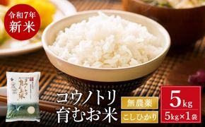 令和7年産　新米 無農薬 米 5kg コウノトリ育むお米 新米 但馬産 こしひかり 兵庫県産(5kg×1袋)（94-002）無農薬 お米 5キロ 精米 白米 コウノトリ米 コシヒカリ 農薬不使用 特別栽培米 新米 予約 コメ こめ ご飯 ライス 無農薬米