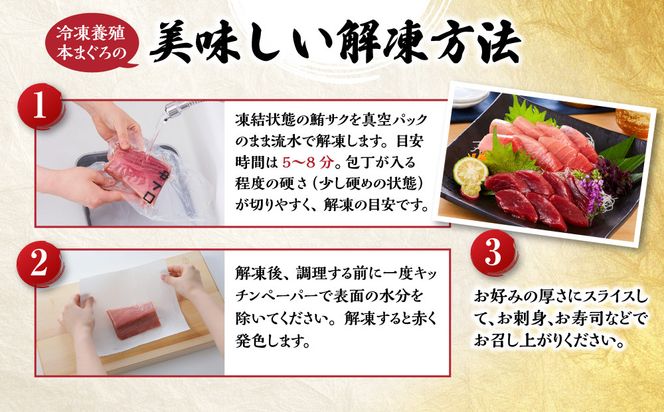 本マグロ（養殖）トロ＆赤身セット 500g［KS12］ 303446_BA1002