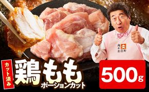 mrz0395 【お試し規格】国産 鶏もも肉 ポーションカット 500g 【カット済み 氷温熟成×極味付け 小分け 味付き 簡単調理 訳あり サイズ不揃い 鶏肉 とり】
