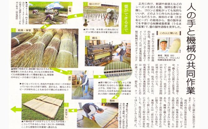 寝ゴザ　い草マット【照間ビーグ】80cm×190cm