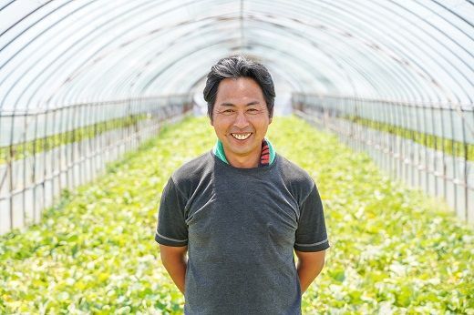 〈予約受付〉【2027年発送】夏の風物詩 中玉すいか「虎太郎西瓜」２玉 甘い 糖度 赤い さっぱり シャリ感 H141-021