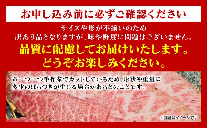 【訳あり】 【A4～A5ランク】 【厳選希少部位】 くまもと黒毛和牛 ミスジ ステーキ 約1kg （約100g×10枚） 和牛ステーキ 牛肉 お肉 ミスジ 黒毛和牛 冷凍 焼肉 BBQ おかず 熊本県 八代市