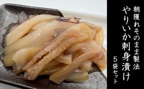 イカ 朝獲れ そのまま製法 やりいか 刺身 漬け 5袋 セット いか 冷凍 おつまみ 詰め合わせ おつまみセット 海鮮 魚介類 魚介 海産物 だし醤油 ぶつ切り 新鮮 青森県鰺ヶ沢町 