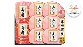 【 お中元 熨斗付 】 日本ハム 美ノ国 ギフトセットB 肉 にく 贈答 ギフト 詰め合わせ ハム 生ハム ロース ステーキ ベーコン [AA075ci]