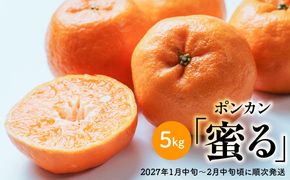 【先行予約】ポンカン「蜜る」　5㎏　（2027年1月中旬～2月中旬頃に順次発送）IKTBC014