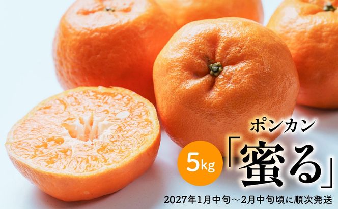 【先行予約】ポンカン「蜜る」　5㎏　（2027年1月中旬～2月中旬頃に順次発送）IKTBC014