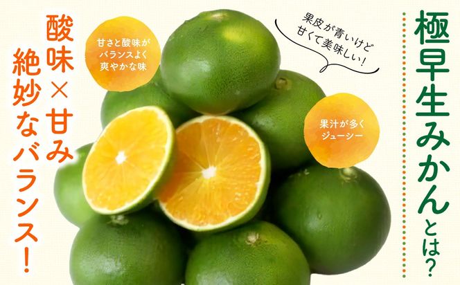 【先行予約】極早生みかん（生果）5kg（2026年9月中旬から発送予定） IKTF001