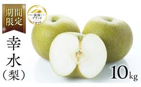 【 JA 北つくば 】 筑西ブランド 認証品 幸水 10kg 2026年産 先行予約 梨 果物 フルーツ なし ナシ 幸水梨 くだもの デザート 茨城 [AE009ci]